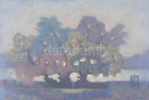 Sassné jelzéssel: Táj. Pasztell, papír. Üvegezett fakeretben, 30×43 cm