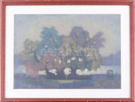 Sassné jelzéssel: Táj. Pasztell, papír. Üvegezett fakeretben, 30×43 cm