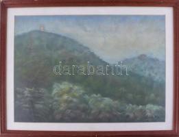Katona Nándor jelzéssel: Táj. Pasztell, papír, 31,5x46 cm. Üvegezett fakeretben