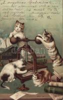 Book binding cats litho
