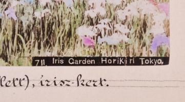 ca 1890 Kusakabe Kinbei, (1841-1932) Japán, Tokió Horikiri vigalmi negyed / Yokohama Maganecho bordé...