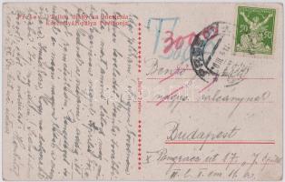 Eperjes, Presov; Korcsolyázópálya pavilonja, mosónők a Tarca folyó partján / Pavilon dráhy na Cnesle...