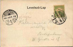 1904 Pozsony, Pressburg, Bratislava; látkép a városháza tornyából, vár, zsinagóga tornyai a távolban...