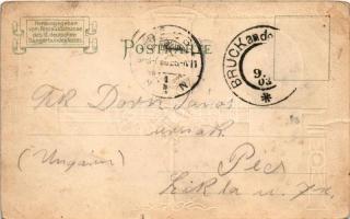 1903 Graz, Rathhaus, Stadttheater, Schlossberg Uhrthurm, Landhaus Brunnen. Lith. Kunstanstalt August...