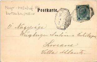 1902 Wannersdorf (Frohnleiten, Steiermark), Mayr-Melnhof AG Kartonhersteller Stammwerk. Jos. Höfler,...