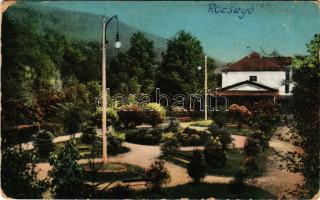 1911 Rozsnyó, Roznava; Vasas gyógyfürdő park részlet. Sajóvidéke kiadása / spa, bath, park (Rb)