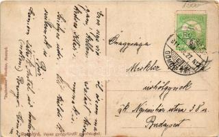 1911 Rozsnyó, Roznava; Vasas gyógyfürdő park részlet. Sajóvidéke kiadása / spa, bath, park (Rb)