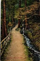 Hartberg (Steiermark), Brühl. Verlag Adolf Jordan / forest (EK)