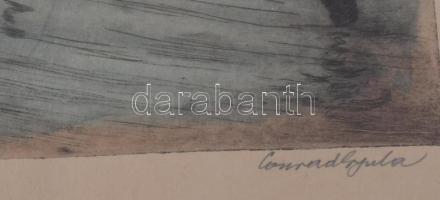 Conrad Gyula (1877-1959): Budafoki halászkunyhó. Színezett rézkarc, papír, jelzett, üvegezett fakere...