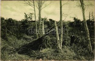 Beresztelke, Bretzdorf, Breaza; Báró Bánffy Zoltán parkjának egy részlete az 1912. május 13-iki ciklon elvonulása után. Heiter György udvari fényképész felvétele és kiadása / park detail of Baron Zoltan Banffy's castle after the cyclone (fl)