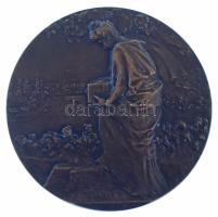 Franciaország 1900 k. kétoldalas bronz emlékérem női ábrázolással (63mm) T:XF France cca 1900. double-sided bronze commemorative medal with a female figure (63mm) C:XF