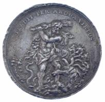 DN "II. Rákóczi Ferenc" ezüstözött öntött fém emlékérem replika (49mm) T:VF sok ph