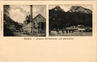 Hallein, Brauerei Kaltenhausen und Barmsteine / brewery, beer factory. Leopold Brandstätter