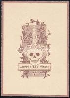 Rozsnyai Kálmán (1874-1948): Popper Leo könyve (Szecessziós ex libris). Vonalas klisé, papír, jelzés nélkül. Lap teteje kartonra kasírozva. 6x3,5 cm.