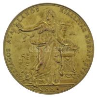 Schwartz István (1851-1924) 1885. "Országos Általános Kiállítás Budapesten 1885 / Mádi Józsefnek, Kecskemét - Az érdem jeléül" vert, aranyozott bronz díjérem (65mm) T:AU  Hungary 1885. "Országos Általános Kiállítás Budapesten 1885 / Mádi Józsefnek, Kecskemét - Az érdem jeléül (National Exposition at Budapest in 1885 / For Mádi József from Kecskemét - As the Sign of Merit)" strucked, gilt bronze commemorative medallion. Sign.: István Schwartz (65mm) C:AU