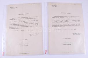 cca 1919-1949 Vince Tivadar (szül. Weiss) (1895-?) zsidó származású üvegtechnikus, gyártulajdonos (V...