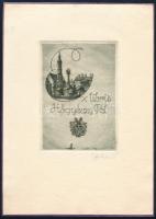 Sterbenz Károly (1901-1993): Ex libris Hőgyészy Pál. Rézmetszet, papír, jelzett, lap teteje papírra kasírozva, 11×8 cm