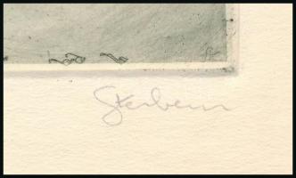 Sterbenz Károly (1901-1993): Ex libris Hőgyészy Pál. Rézmetszet, papír, jelzett, lap teteje papírra ...