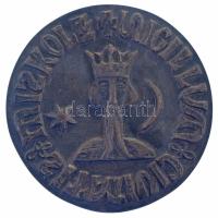 Varga Miklós (1928-) 1965. "Sigillum Civitatis Miskolz / 600 éves Miskolc 1365-1965" kétoldalas, öntött bronz emlékérem (90mm) T:AU