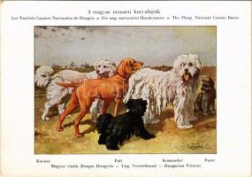 Magyar Nemzeti Kutyafajták. A Magyar Ebtenyésztők Országos Egyesületének kiadása. Kuvasz, Magyar Vizsla, Puli, Komondor, Pumi / Hungarian dog breeds s: Vezényi E.