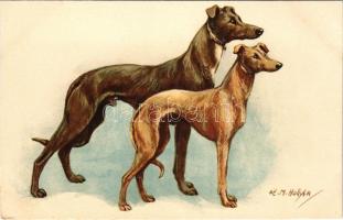 Greyhound and Whippet. STZF No. 157. s: O. E. M. Hollyer