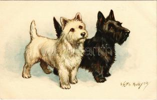 Scoth Terriers. STZF No. 155. s: O. E. M. Hollyer