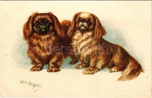 Pekinese Dogs. STZF No. 156. s: O. E. M. Hollyer