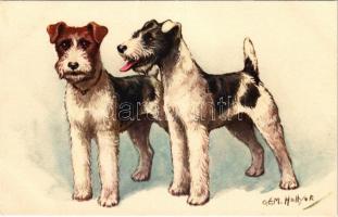 Wire-haired Terriers. STZF No. 158. s: O. E. M. Hollyer