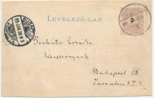 1899 (Vorläufer) Dog with puppies, litho (ázott / wet damages)