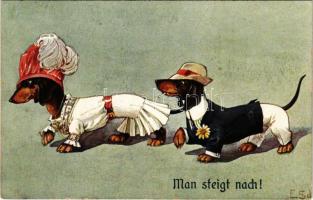 Man steigt nach! / Dachshund couple. No. 1080. (fl)