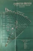 cca 1950 Gerincesek törzsfája, oktató-szemléltető plakát, papír, Athenaeum, hajtásnyomokkal, lapszéli sérülésekkel, 98x68 cm