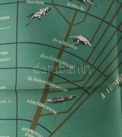 cca 1950 Gerincesek törzsfája, oktató-szemléltető plakát, papír, Athenaeum, hajtásnyomokkal, lapszél...