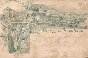 1895 Puchberg am Schneeberg with the cottage of Fischer von Röslerstamm litho