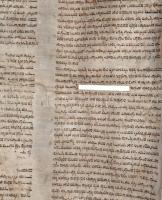 Régi Tóra tekercs töredéke, pergamen, hiányos, sérült, foltos, penészes, cca 54x230 cm