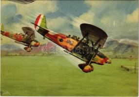 Arma Aeronautica / Italian propaganda, air force, Mussolini quote (EK)