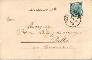 Száz csacsi (pardon) legény egy sorba... humoros művészlap / Hungarian humorous art postcard, litho ...