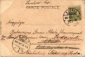 1902 Boldog Újévet! / Le Toucher / Art Nouveau lady with bird, New Year greeting art postcard. A. So...