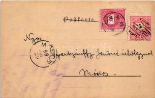 1898 Carneval XVII/10. Art Nouveau lady art postcard. Wiener Künstler-Postkarte. Druck und Verlag Ph...