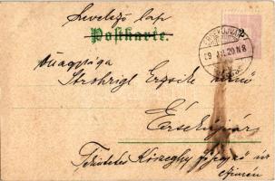 1899 Künstler-Postkarte der Meggendorfer Blätter Nr. 6. Verlag von J.F. Schreiber Art Nouveau, flora...