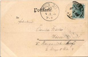 1900 Art Nouveau lady litho. Theo. Stroefer's Kunstverlag, Nürnberg - Postkarte im modernen Sty...