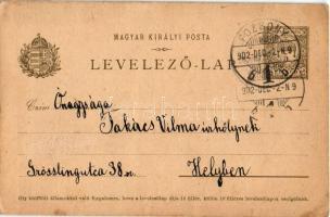 1902 Kézzel rajzolt művészlap Pozsonyból 5 fillér díjjegyes levelezőlapon / Hand-drawn art postcard ...