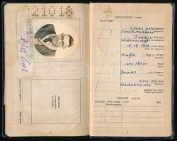 1962 Izrael állam által kiállított fényképes útlevél Lengyelországban született állampolgár számára / Israeli passport