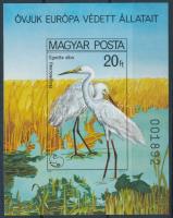 1980 Madarak (IX.) - Védett vízimadarak vágott blokk (6.000)