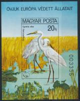 1980 Madarak (IX.) - Védett vízimadarak vágott blokk (6.000)