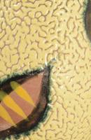 Ugrasztott mázas iparművész váza, Terv.: Várdeák Ildikó, minimális mázhibával, m: 22,5 cm