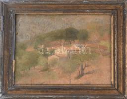 Jelzés nélkül (XX sz. első fele): Napfényes táj. Olaj, vászon, hátoldalán Kovács Dezső műgyűjtő hagyatéki bélyegzésével. Dekoratív, sérült fakeretben. 31,5x39,5 cm
