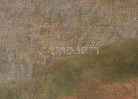 Jelzés nélkül (XX sz. első fele): Napfényes táj. Olaj, vászon, hátoldalán Kovács Dezső műgyűjtő hagy...