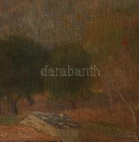 Jelzés nélkül (XX sz. első fele): Napfényes táj. Olaj, vászon, hátoldalán Kovács Dezső műgyűjtő hagy...