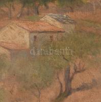 Jelzés nélkül (XX sz. első fele): Napfényes táj. Olaj, vászon, hátoldalán Kovács Dezső műgyűjtő hagy...