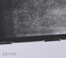 Németh István (?-?) - Székely Ákos (1945-2021): Cím nélkül, 1991. Szitanyomat, papír. Jelzett. Számo...